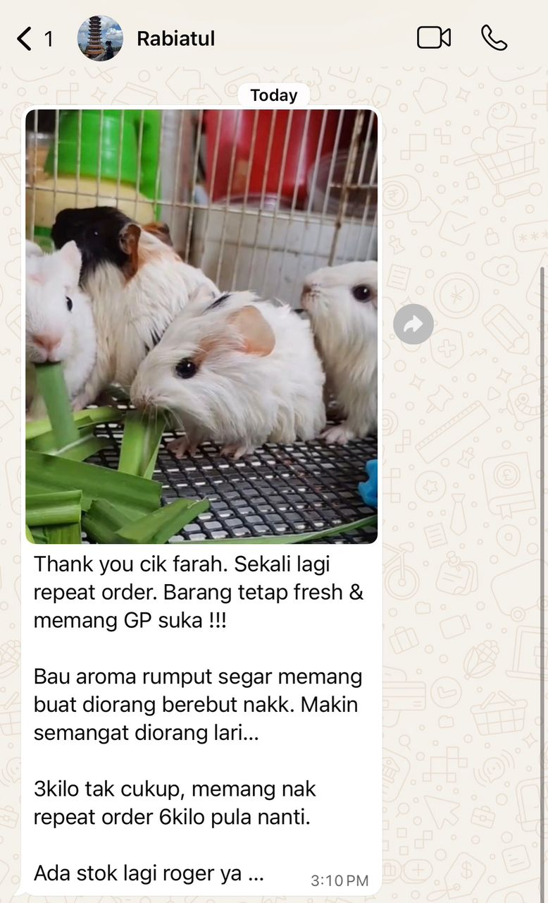 Customer review